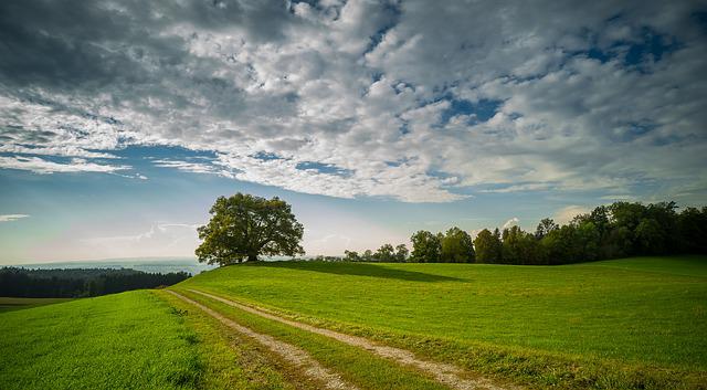 Methoden und Vorteile der nachhaltigen Landwirtschaft