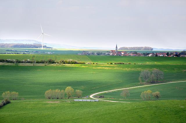 Grüner Konsum: Bedeutung, Beispiele und Strategien